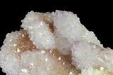 Cactus Quartz (Amethyst) Crystal Cluster - South Africa #180724-2